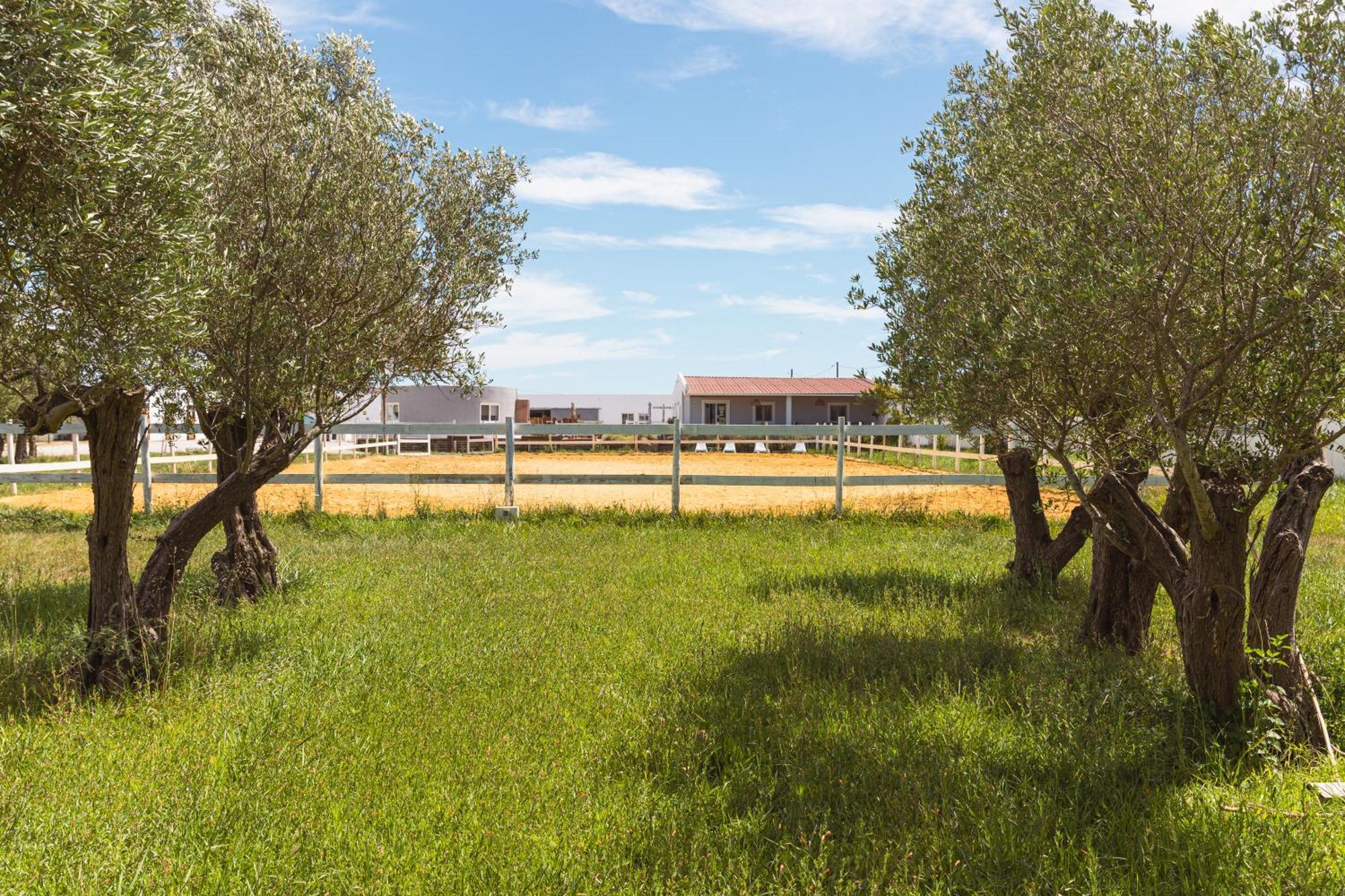 בריירו Vila Natura מראה חיצוני תמונה